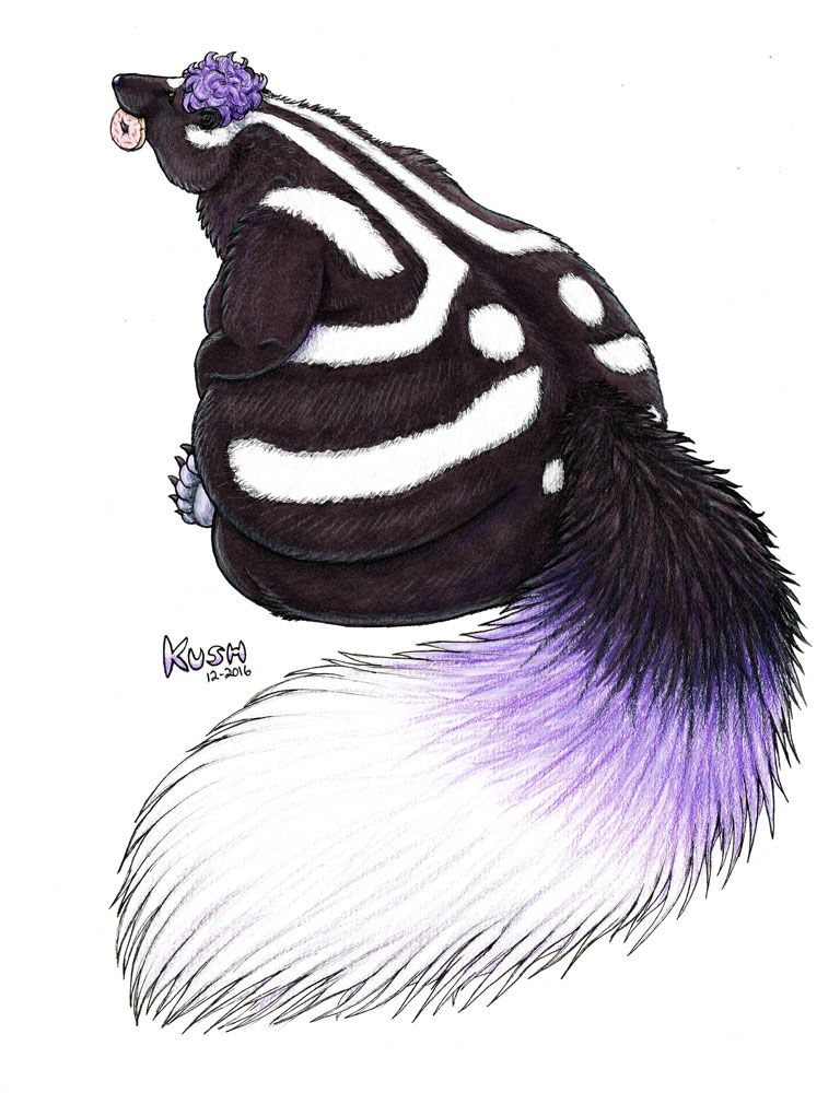 Traditional marker and colored pencil drawing of a very fat anthropomorphic spotted skunk OC with a huge fluffy tail, seated facing away from the viewer with a doughnut in his mouth.