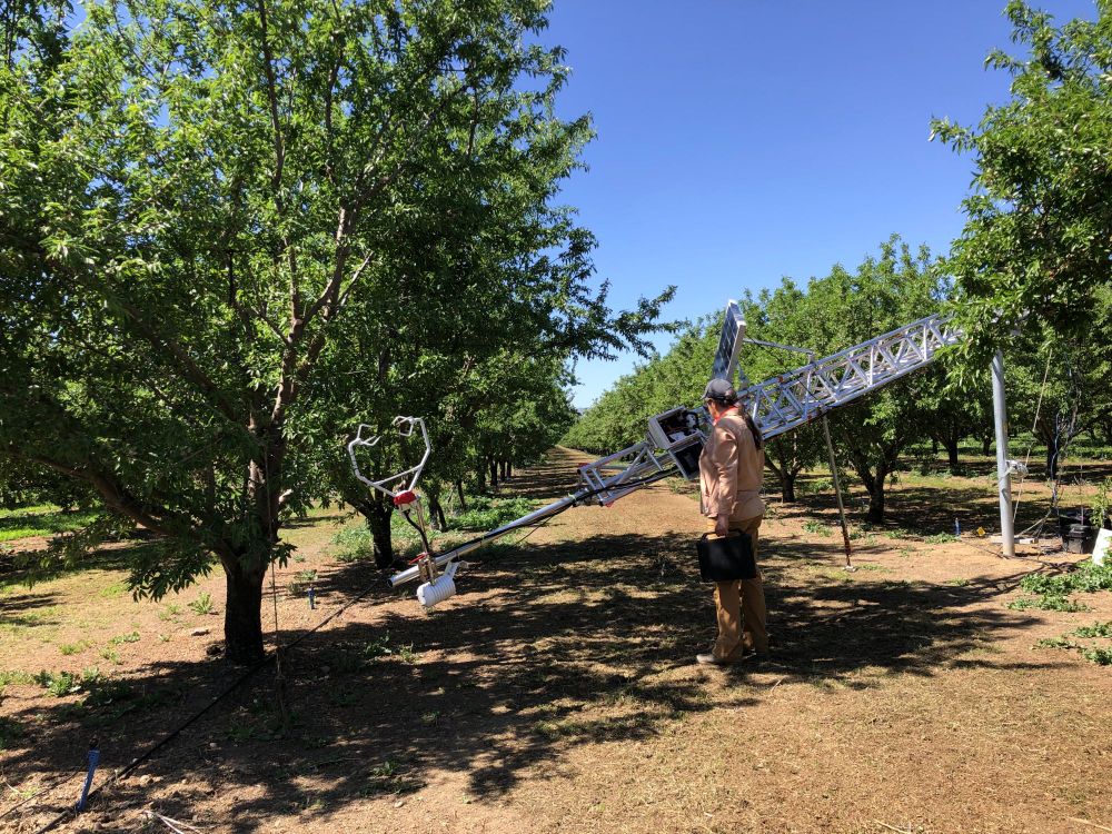 A researcher checks the sonic anemometer equipment in an almond orchard on a sunny day.