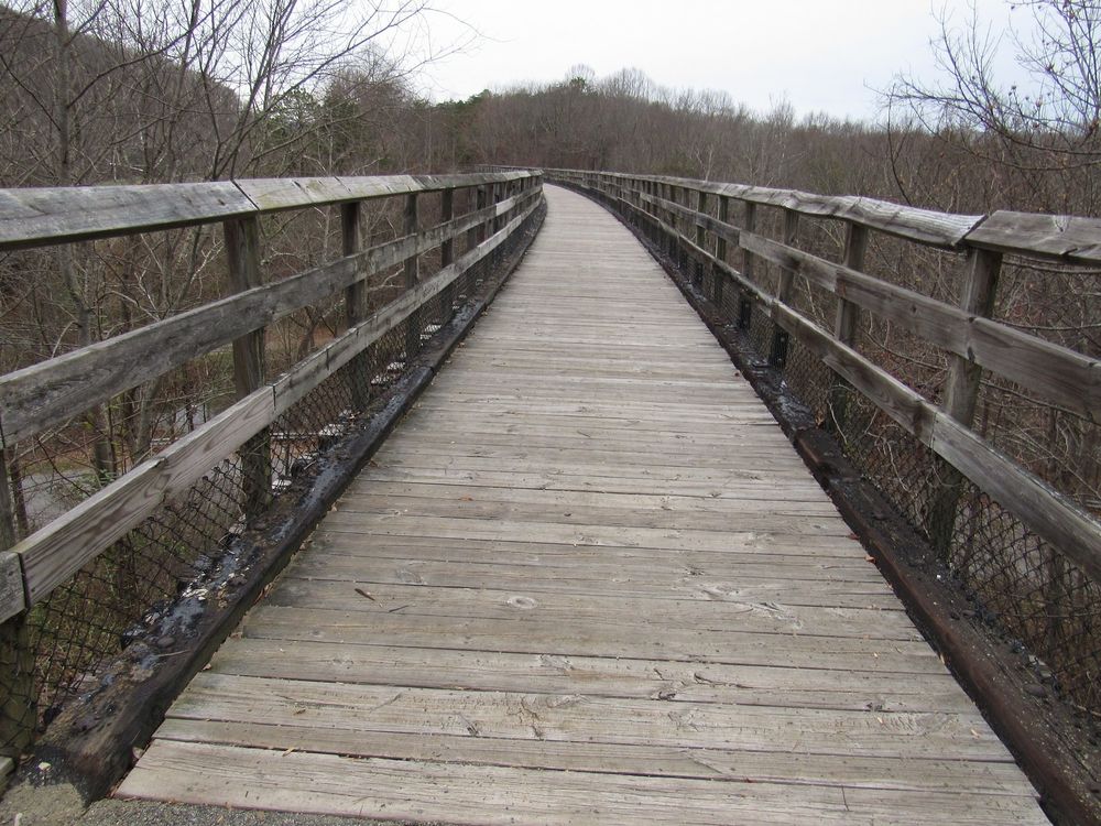 Photo of a wooden bridge that begins to curve in the distance.