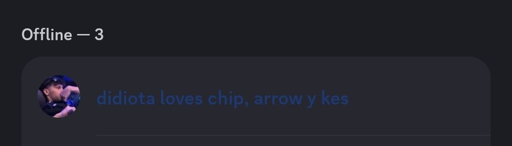 print do discord, igual a outra imagem, mas de outro membro, com o nome "didiota loves chip, arrow y kes"