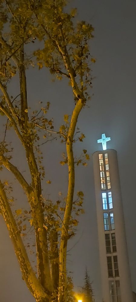 Baum und Kirchturm im Nebel 