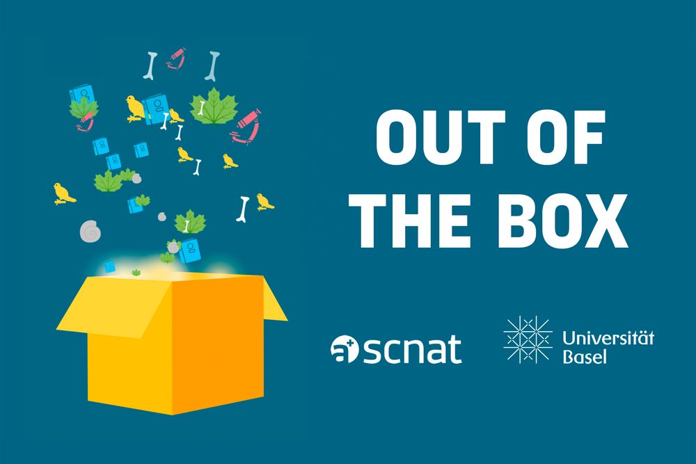 «Out of the Box» ist das Format der SCNAT für Projekte, die im Rahmen der Initiative Schweizer Netzwerk Naturhistorische Sammlungen (SwissCollNet) unterstützt werden. Heute wird ein Projekt der Herbarien der Universität Basel vorgestellt.