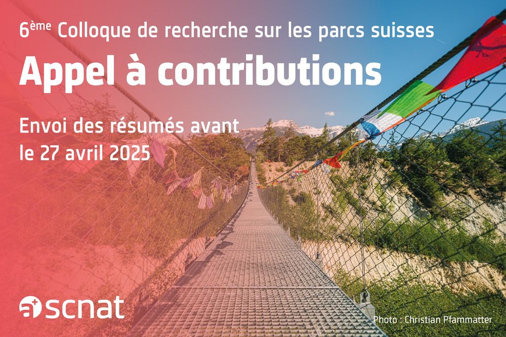 Image représentant le pont bhoutanais dans le Parc naturel Pfyn-Finges. Le texte est le suivant : Appel à contributions pour le 6ème Colloque de recherche sur les parcs suisses. Envoi des résumés avant le 27 avril 2025.