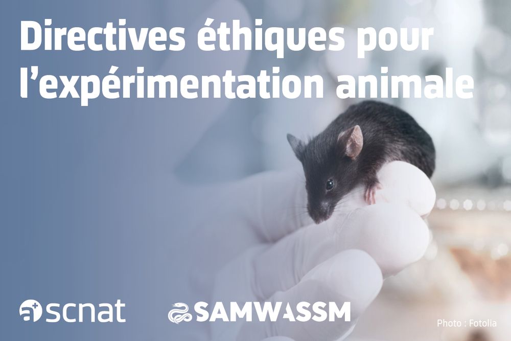 Image représentant une souris dans la main d'un·e scientifique. Le texte est le suivant : « Directives éthiques pour l'expérimentation animale ». Les logos de la SCNAT (Académie suisse des sciences naturelles) et de l'ASSM (Académie suisse des sciences médicales) figurent également sur le visuel.