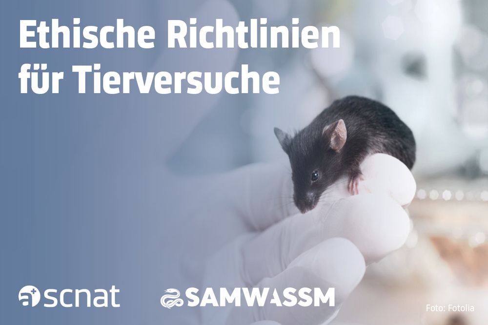 Eine Maus in der Hand eines Forschenden. Der Text lautet: «Ethische Richtlinien für Tierversuche». Die Logos der SCNAT (Akademie der Naturwissenschaften Schweiz) und der SAMW (Schweizerische Akademie der Medizinischen Wissenschaften) sind ebenfalls abgebildet.