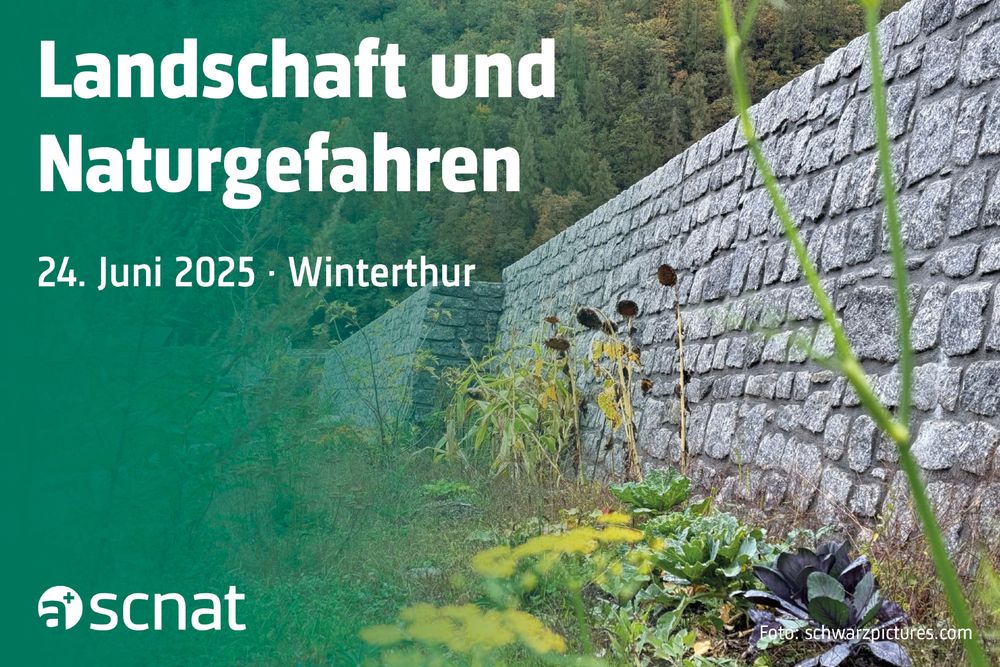 Auf dem Bild sieht man eine neue Mauer nach dem Bergsturz 2017 bei Bondo (GR). Am 24. Juni 2025 findet die Veranstaltung «Landschaft und Naturgefahren» in Winterthur statt.