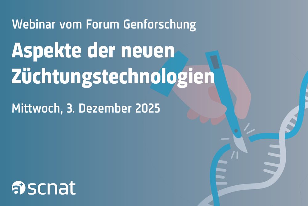 Wie Pflanzen aus neuen Züchtungstechnologien reguliert werden sollen, wird derzeit intensiv diskutiert. Einige Fragen sind dabei immer noch offen, insbesondere rund um die Themen Patente und Nachweisbarkeit. Das Forum Genforschung lädt am 3. Dezember zu einem Webinar ein, in dem Expertinnen und Experten die zentralen Aspekte kompakt aufzeigen und zur Diskussion einladen.