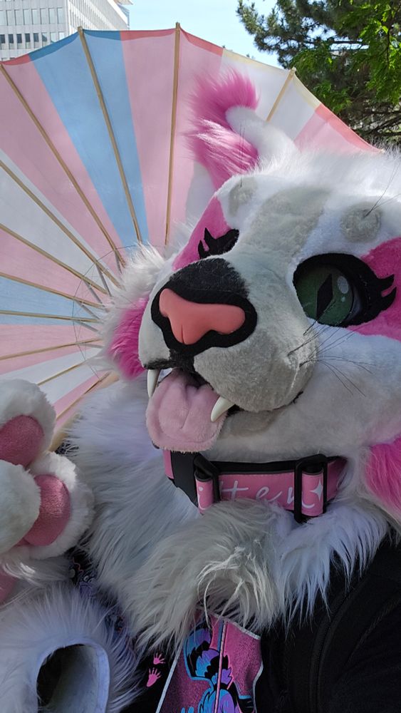 A white, grey and pink furry in a partial fursuit holding a trans pride paresol 