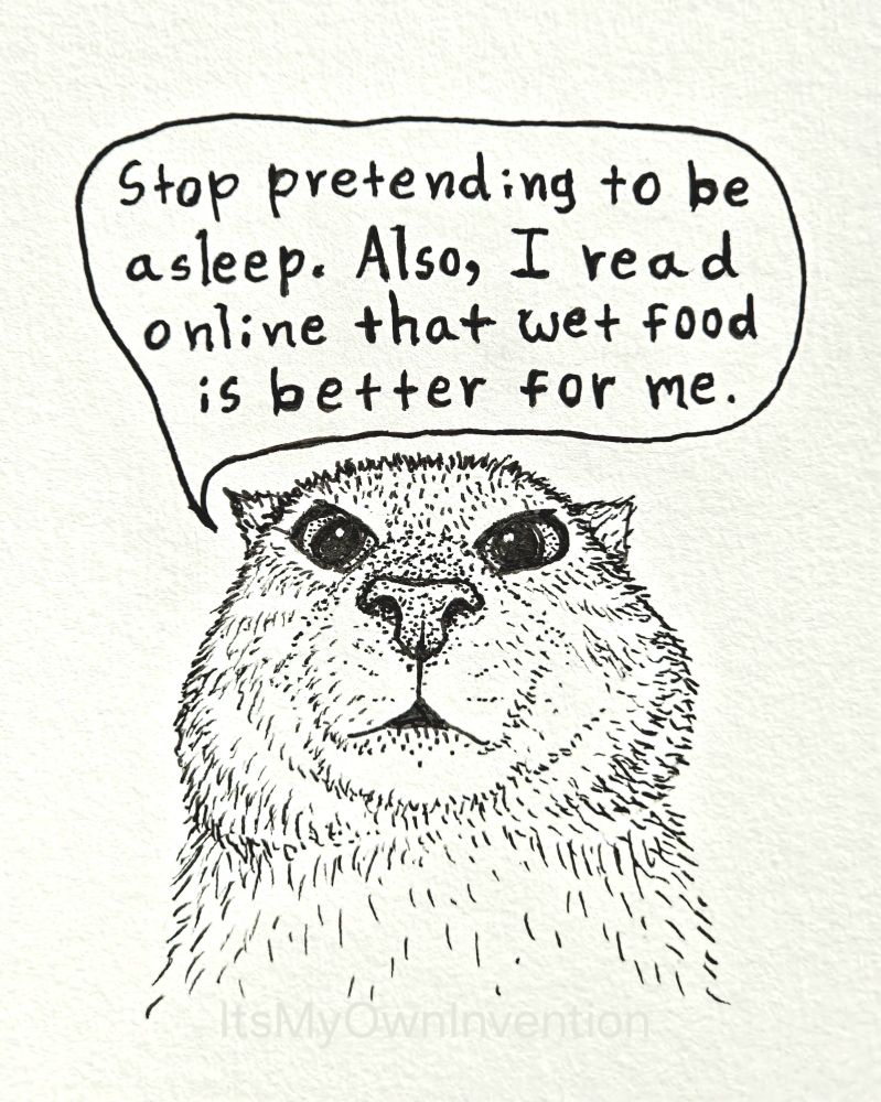 An ink drawing of a cat's face. The art style is simple. The cat is saying, "Stop pretending to be asleep. Also, I read online that wet food is better for me." 