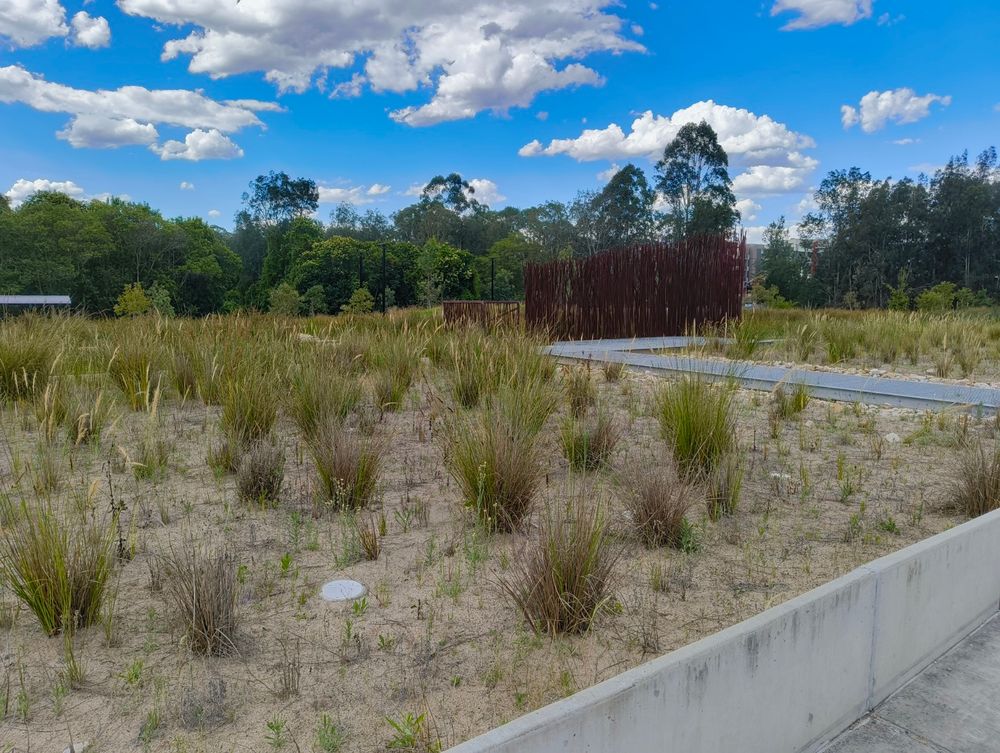 The retention pond in a park in Westmead NSW