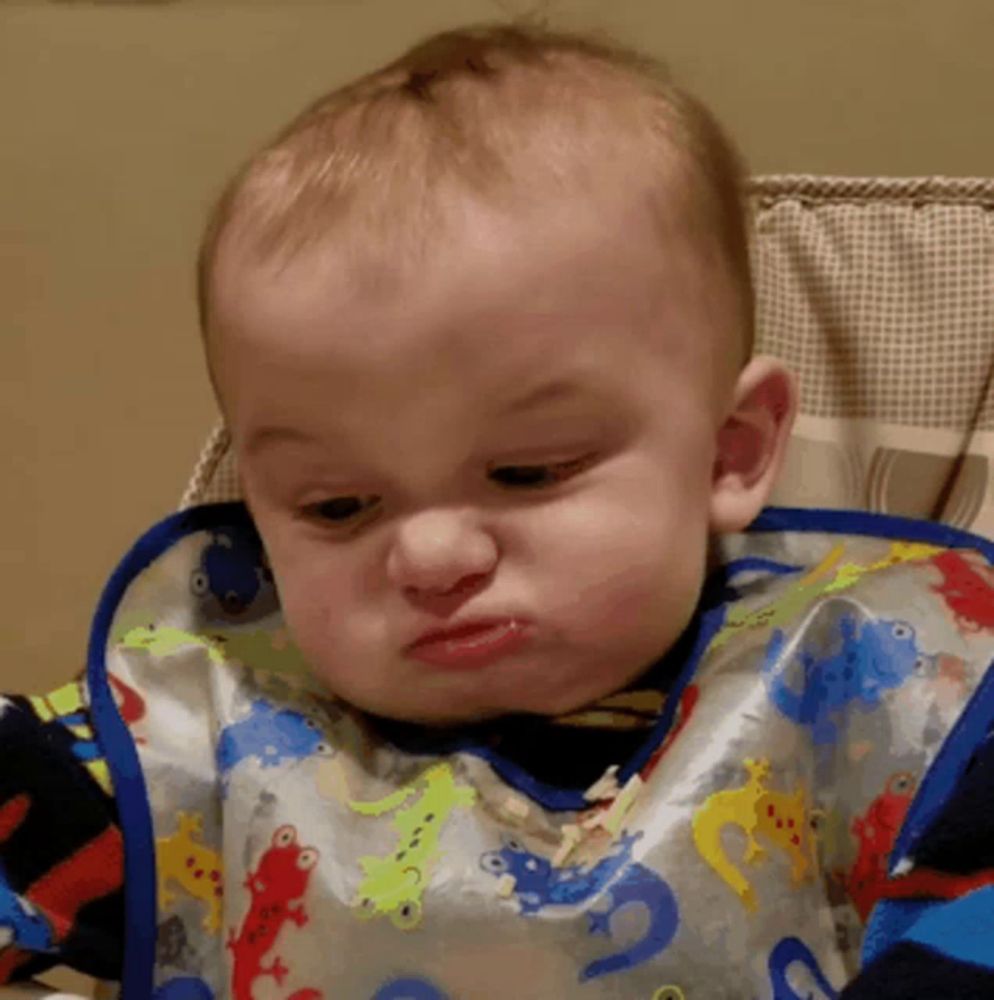 a baby wearing a bib with lizards on it making a funny face