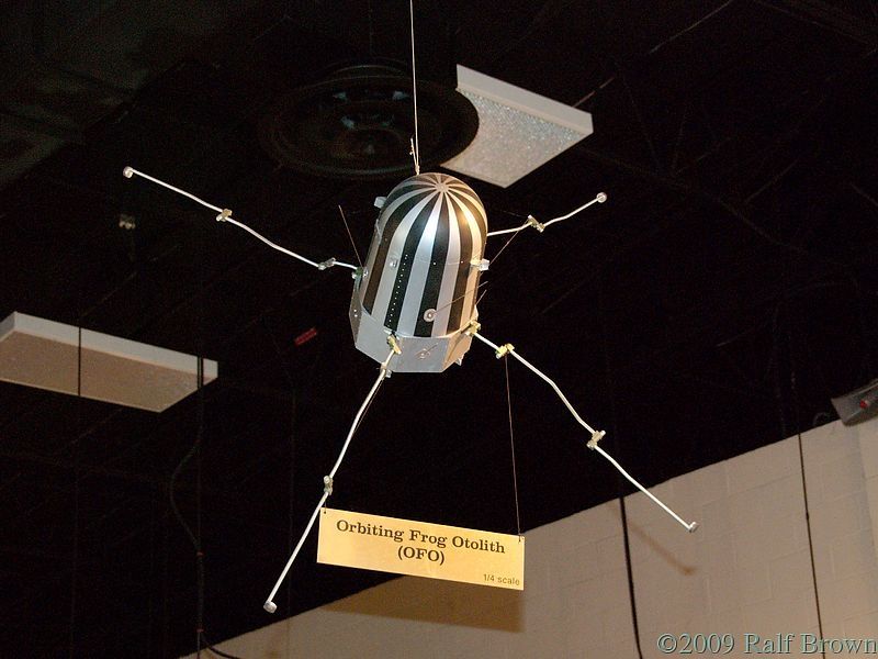 Picture of the Orbiting Frog Otolith 