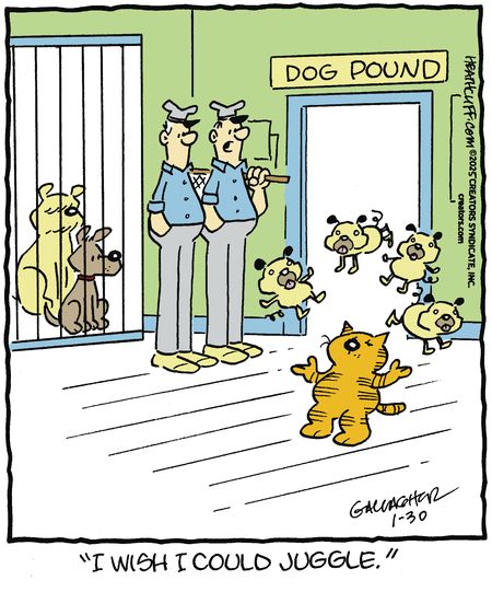 Today's Heathcliff, January 30, 2025