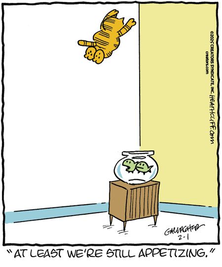 Today's Heathcliff, February 01, 2025