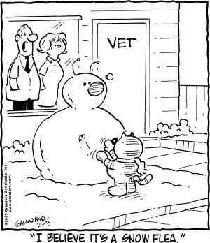 From the Heathcliff archive! February 03, 2007