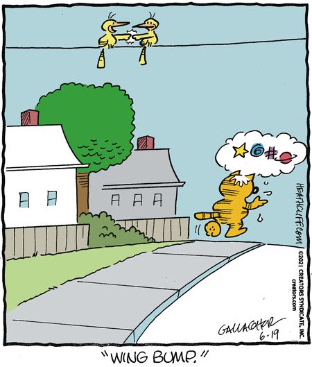 From the Heathcliff archive! June 19, 2021