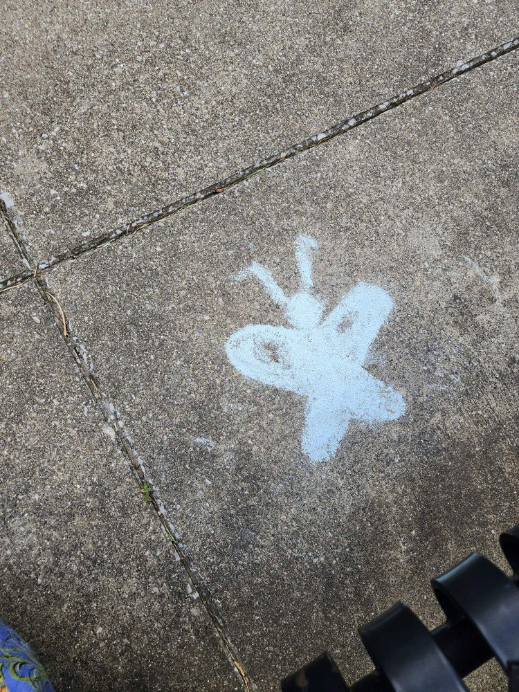 A chalk butterfly on the ground 