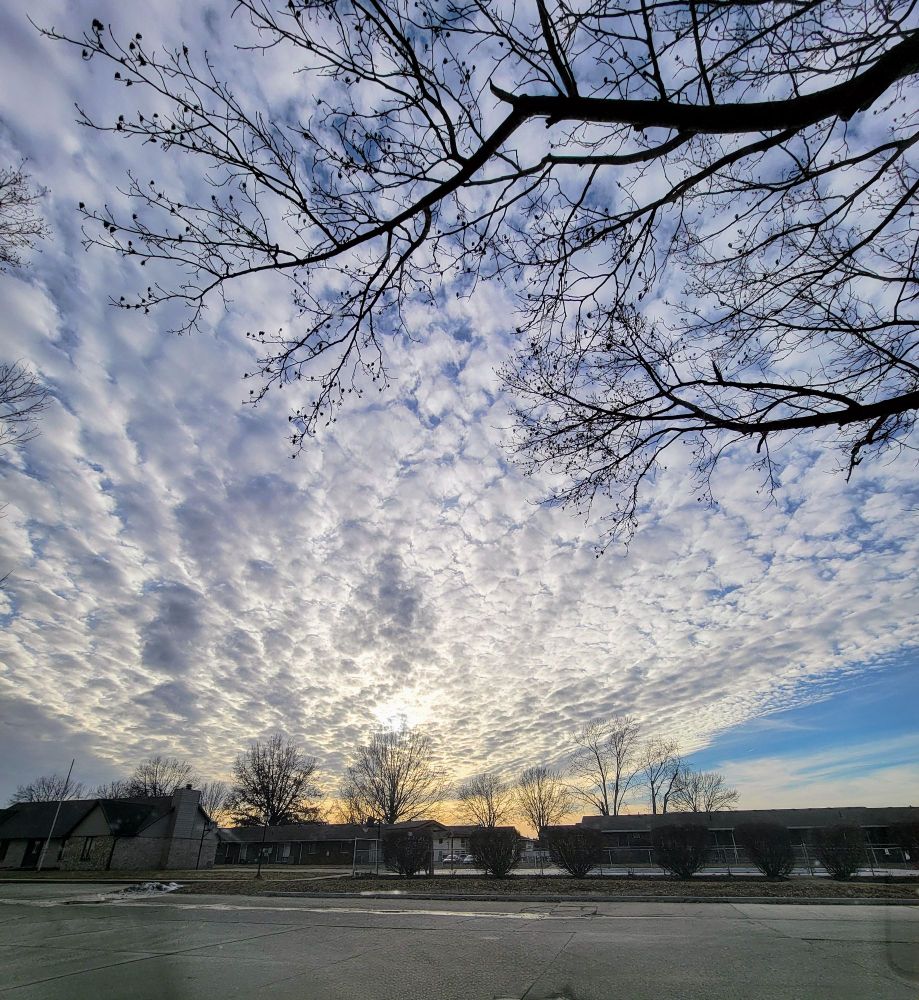 A photo of the sky that shows altocumulus clouds and some trees and buildings in the backdrop. 