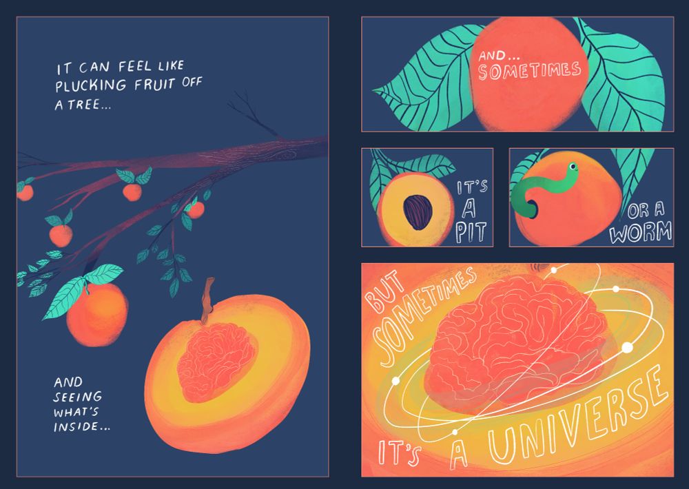 Two pages from a comic I'm working on

Page 1 is a single panel

'It can feel like plucking fruit off a tree... and seeing what's inside' 
Illustration of a branch of a tree with peaches on it, and a cross section of a peach, instead of a pit, there is a brain

Page 2 is 4 panels

Panel 1: "...and sometimes" text over an illustration of a peach
Panel 2: "it's a pit" (cross section of a peach, with the pit visible)
Panel 3: "or a worm" (a fruit with a worm poking out of it)
Panel 4: "but sometimes... it's a universe" the brain/pit in the peach from the previous page is zoomed in and now has rings around it like a planet in space