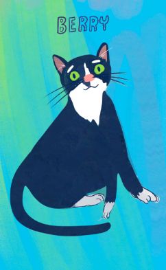 BERRY

A tuxedo cat smiling