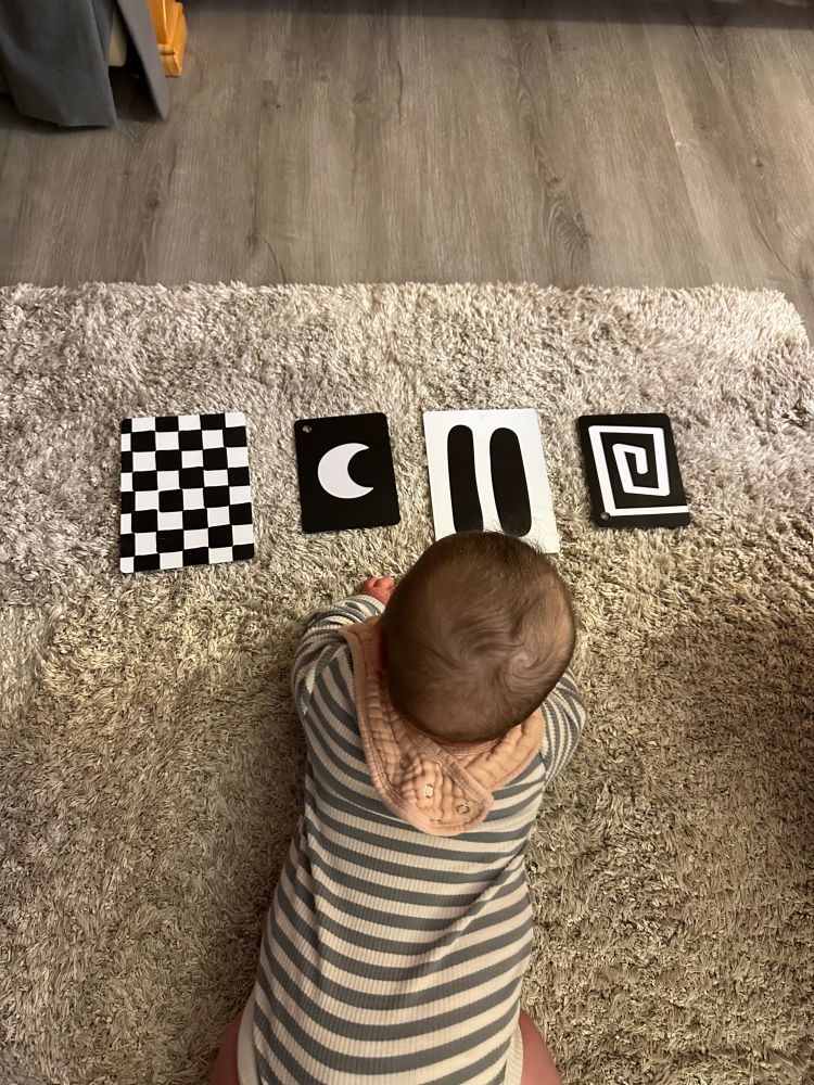 Photo of the back of my 6 month old on her belly looking at 4 high contrast black and white cards with different designs on them.