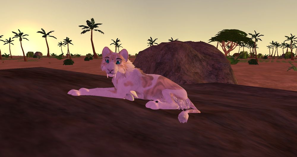 Female saber lioness laying on a rock. Screenshot from the game Feral-Heart Unleashed