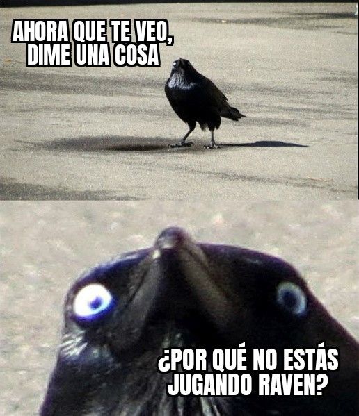 Un cuervo con cara se loco preguntando por que no estás jugando Raven.