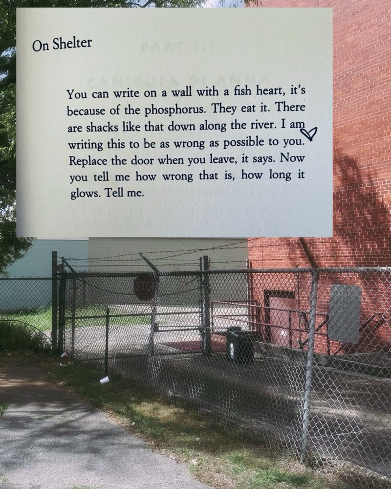 On Shelter
You can write on a wall with a fish heart, it's because of the phosphorus. They eat it. There are shacks like that down along the river. I am writing this to be as wrong as possible to you.
Replace the door when you leave, it says. Now you tell me how wrong that is, how long it glows. Tell me.