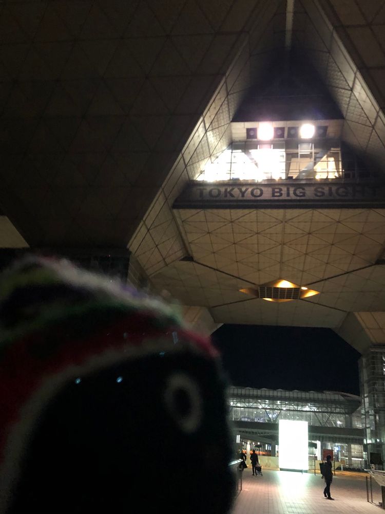 日が暮れ真っ暗の中浮かび上がるビッグサイトの象徴的な三角部分、その下でのカーバンクルぬいぐるみが記念撮影している