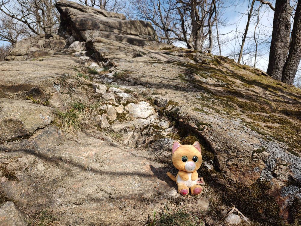 Simbalito is presenting a quartz vein in granite 