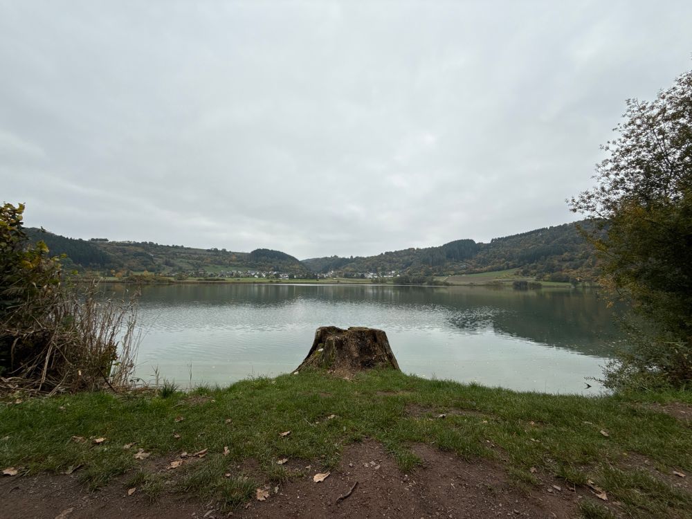 Blick über das Meerfelder Maar