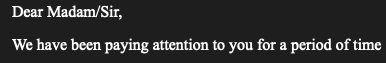 Screenshot of an email with the text "Dear Madam/Sir, We have been paying attention to you for a period of time..."
