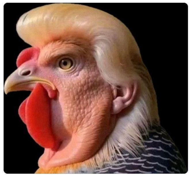 Comment image