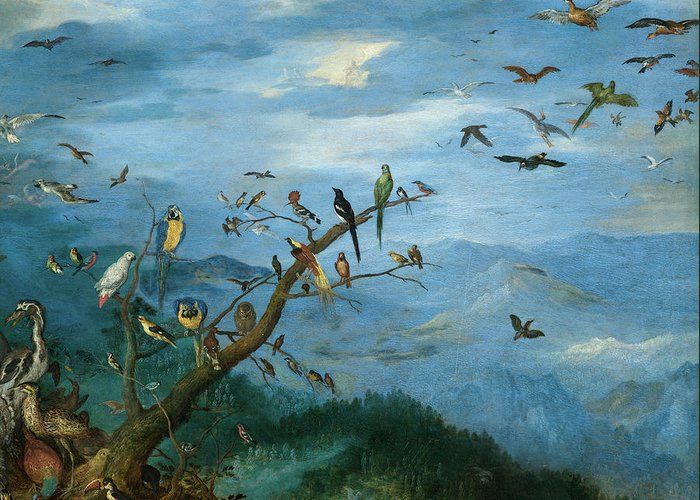 Against a blue sky small birds of all colours fly. Green birds, small blue and yellow parrots and a little black and white bird perch amongst other birds on a small bare branch below.