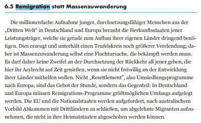 Auszug aus dem AfD-Europawahlprogramm 2019.