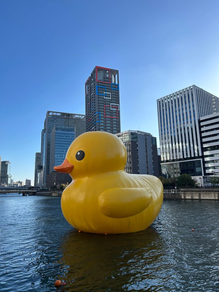 ビルの間のアヒル
