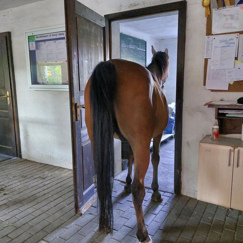 Ferd steht in der Tür und schaut was es zu essen gibt.