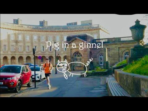 "Pig in a ginnel" #Buxton #shortfilm