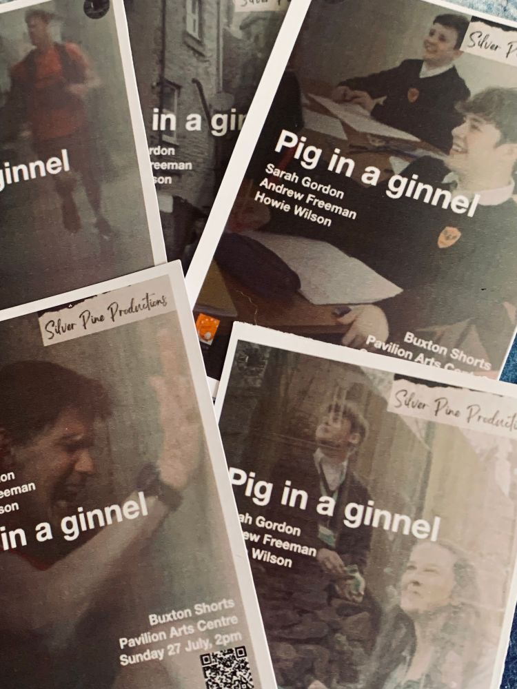Poster montage for PIG IN A GINNEL