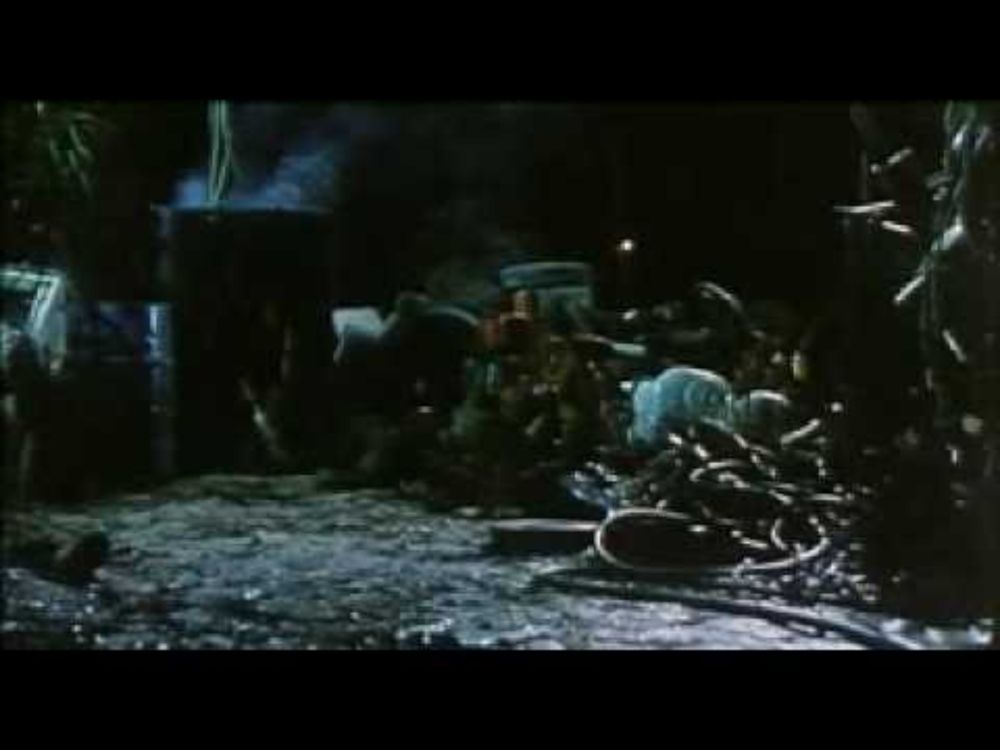 The Cat (clip)
