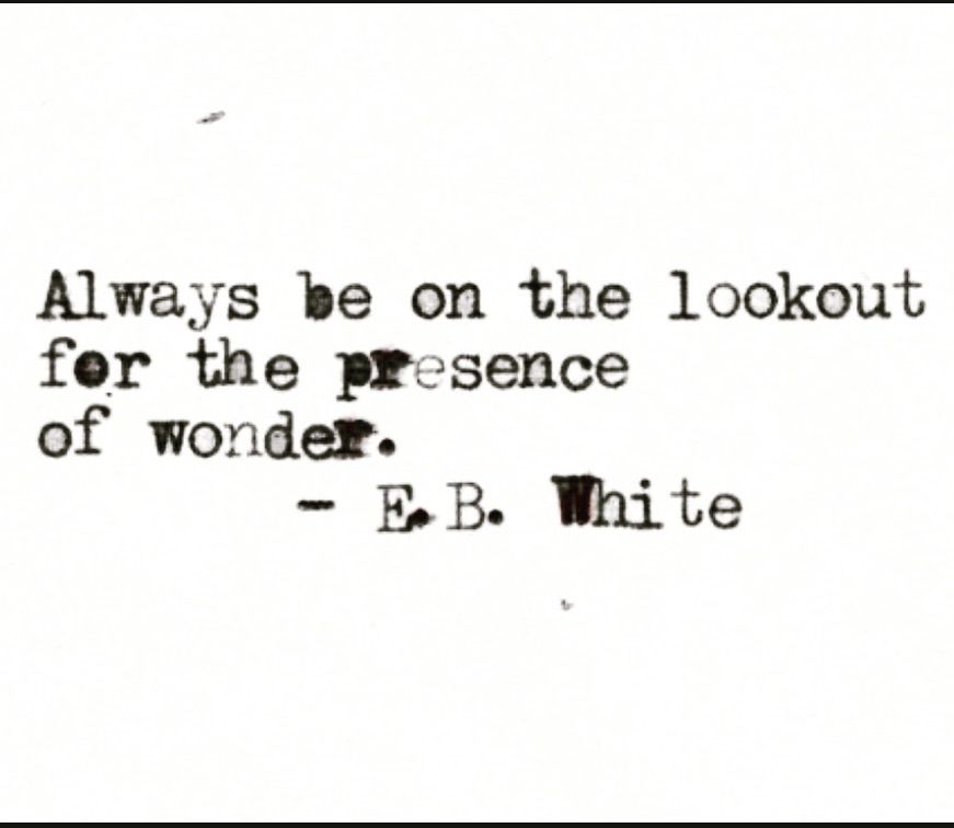 Always be on the lookout for the presence of wonder. E. B. White