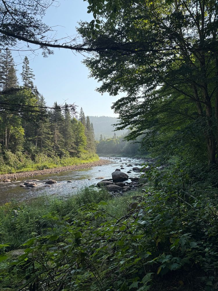 Jacques Cartier parc with a view up river