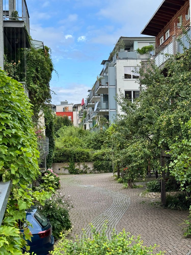 A street scene from Vauban showing back to back apartments, with green front gardens hiding the cars