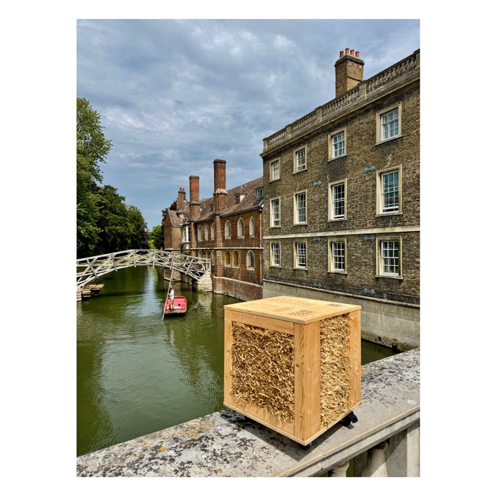 EcoCocon straw panel, with view of Mathematical bridge over river Cam in Cambridge in the background 