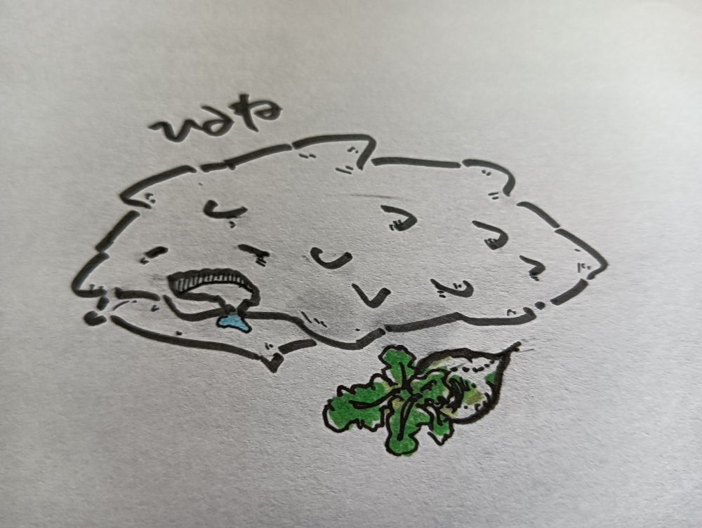 薄めの枕にうつ伏せでよだれをたらして昼寝する小夏（例のコロナウイルスのキャラクター）と、その横に葉のついた大根。