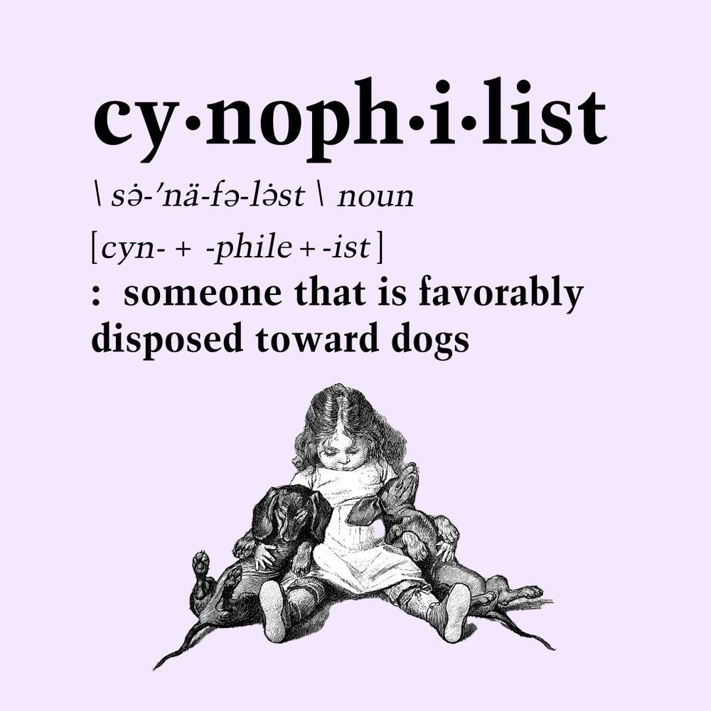 cynophilist
sə̇-ˈnä-fə-lə̇st
noun 
{cyn + phile + ist] 
 someone that is favorably disposed toward dogs
