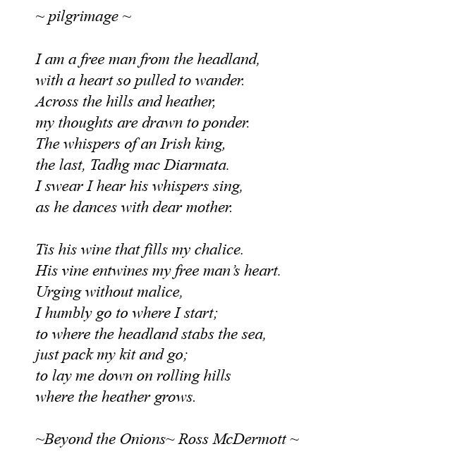 ~ pilgrimage ~

I am a free man from the headland,
with a heart so pulled to wander.
Across the hills and heather, 
my thoughts are drawn to ponder.
The whispers of an Irish king,
the last, Tadhg mac Diarmata.
I swear I hear his whispers sing,
as he dances with dear mother.

Tis his wine that fills my chalice.
His vine entwines my free man’s heart.
Urging without malice,
I humbly go to where I start;
to where the headland stabs the sea,
just pack my kit and go;
to lay me down on rolling hills 
where the heather grows.

~Beyond the Onions~ Ross McDermott ~
