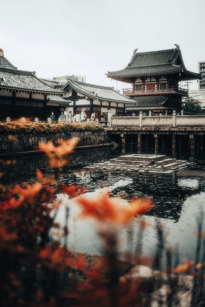 Beautiful shot of orange flowers with a moody colored temple in Japan