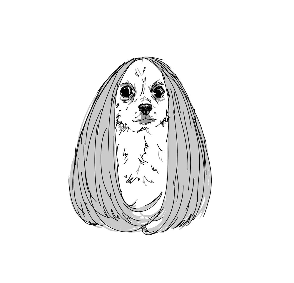 a black and white digital ink drawing of a chihuahua wearing a long wig