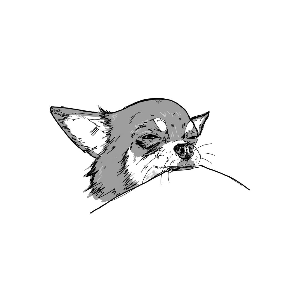 a black and white digital ink drawing of a chihuahua with partially opened eyes looking very sleepy